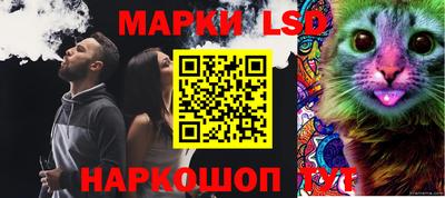 гашик Ирбит