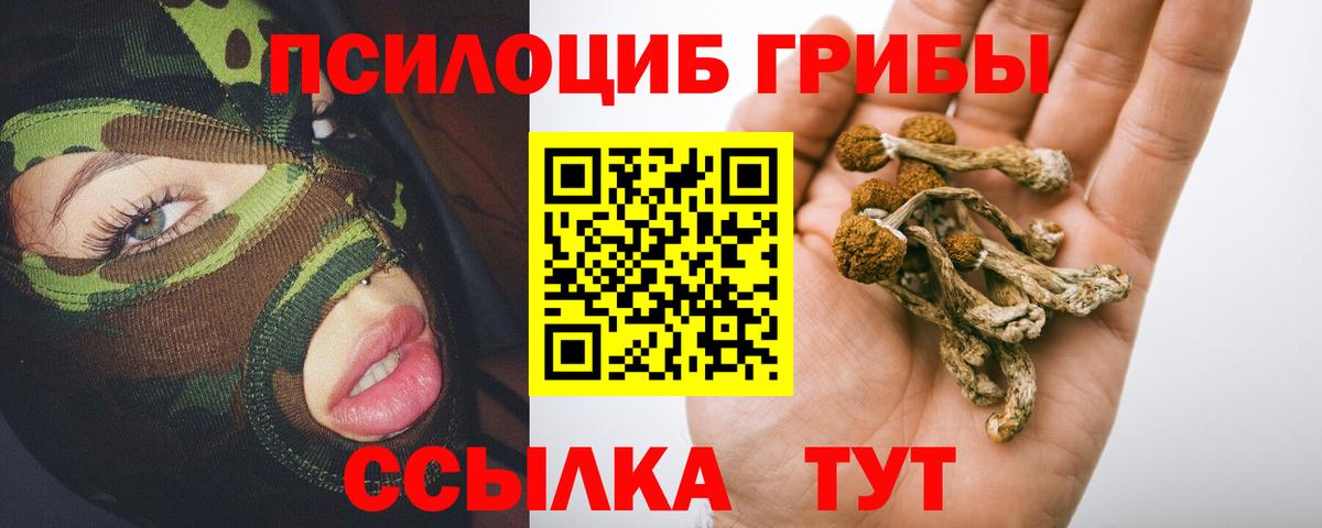 Галлюциногенные грибы GOLDEN TEACHER Малоярославец